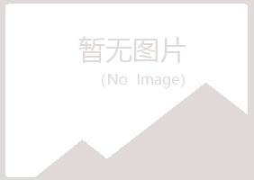 青岛黄岛敷衍美容有限公司